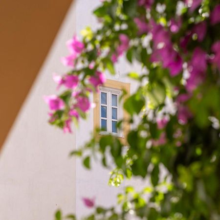エヴォラ Casa Morgado Esporao Bed & Breakfast エクステリア 写真